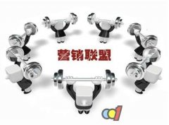解析分銷實戰之“聯合營銷”