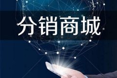 分銷商城平臺需要哪些功能？